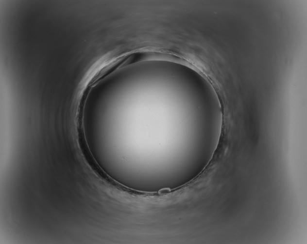 X0000088170007200705221631