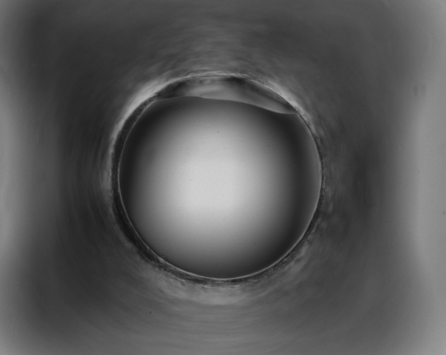 X0000088170008200705221631