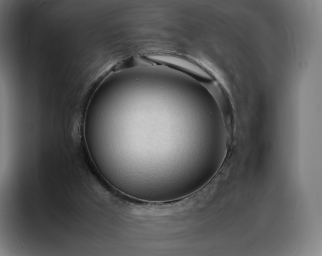 X0000088170009200705221631