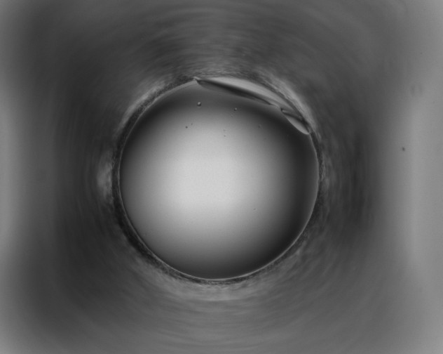 X0000088170010200705221631