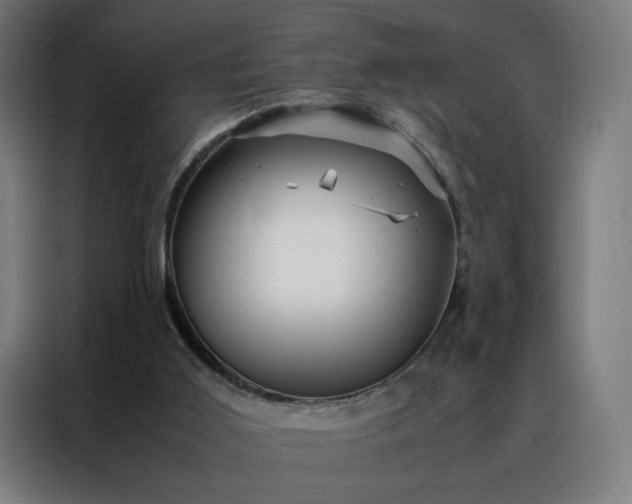 X0000088170011200705221631