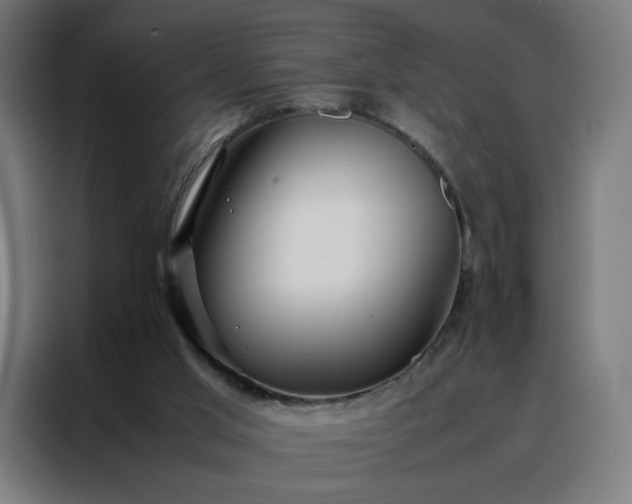 X0000088170013200705221631