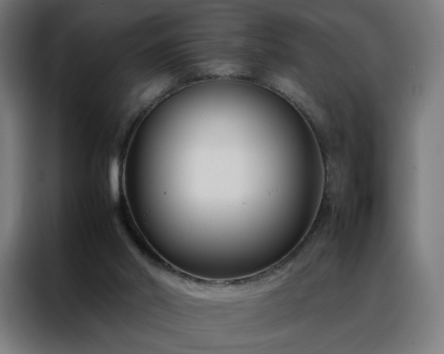 X0000088170014200705221631