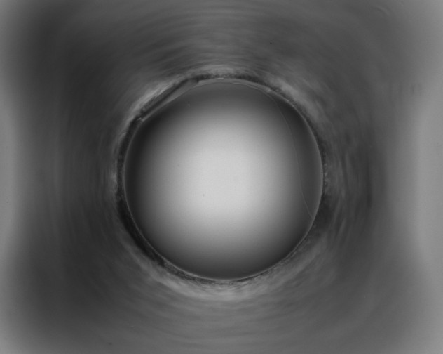 X0000088170015200705221631