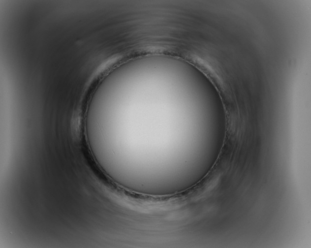 X0000088170016200705221631