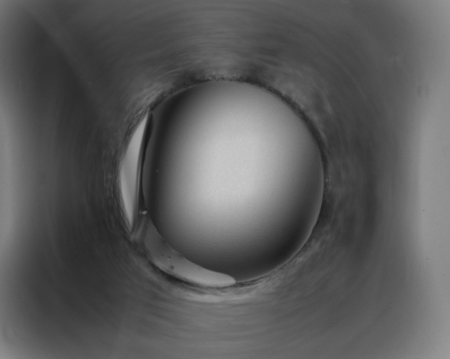 X0000088170017200705221631