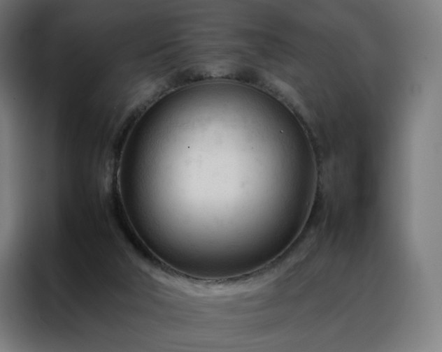 X0000088170018200705221631