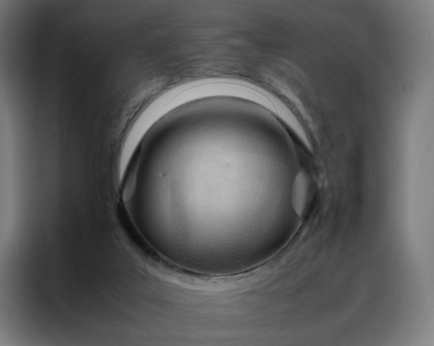 X0000088170019200705221631