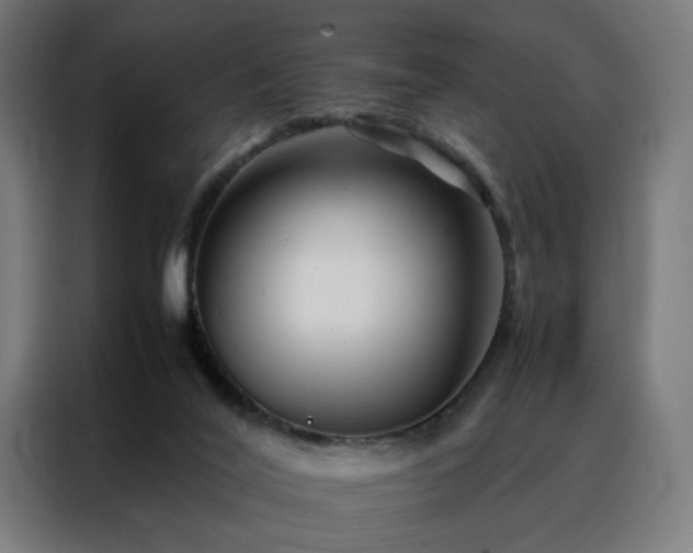 X0000088170020200705221631