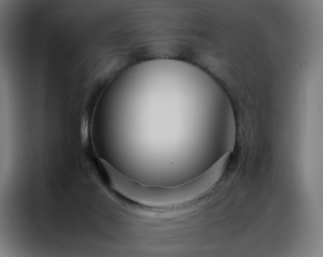 X0000088170021200705221631