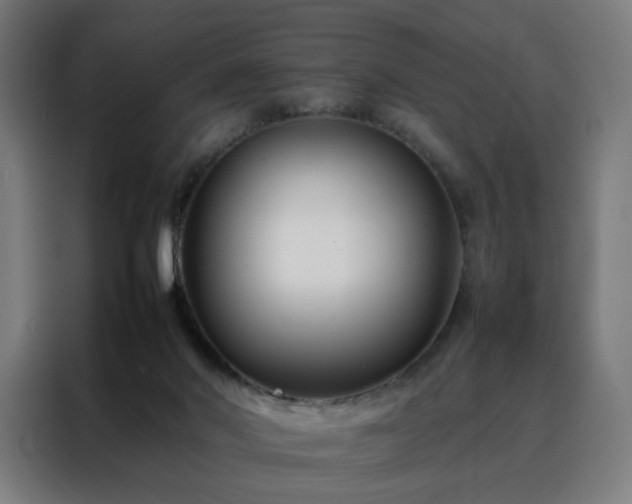 X0000088170022200705221631