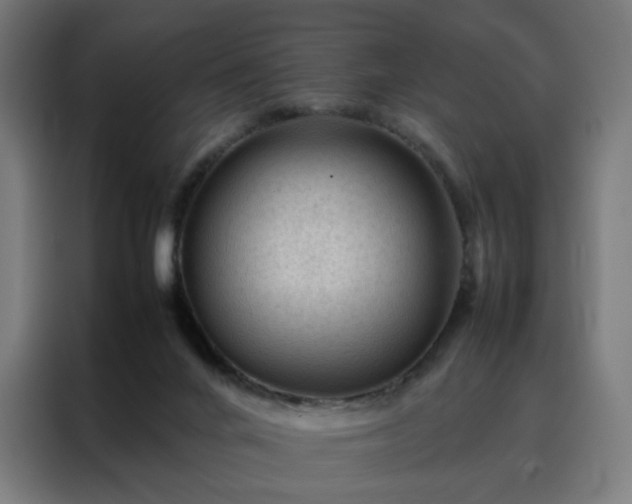 X0000088170024200705221631