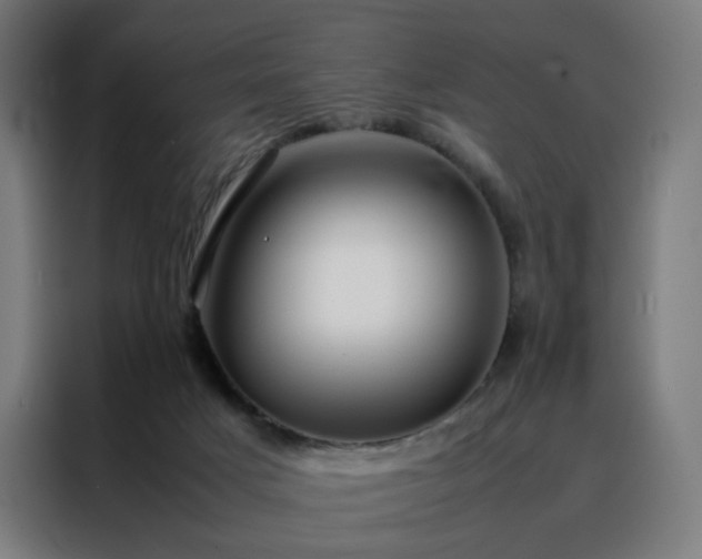 X0000088170025200705221631