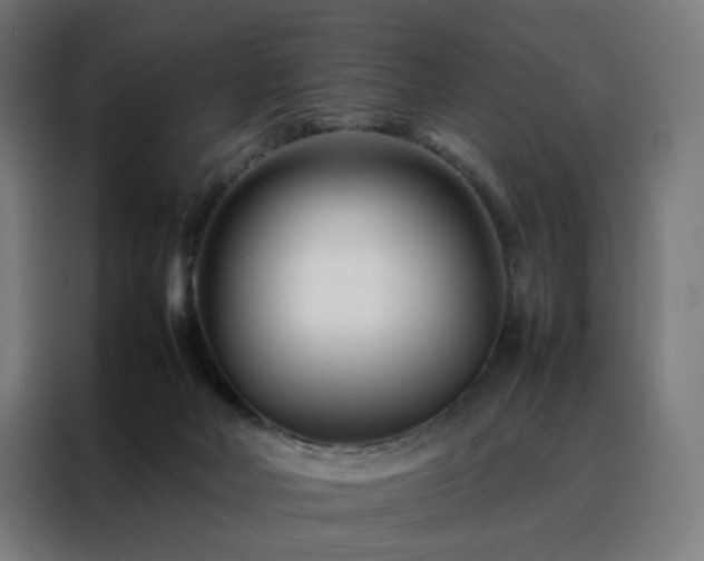 X0000088170026200705221631