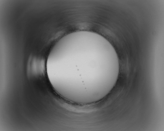 X0000088170028200705221631