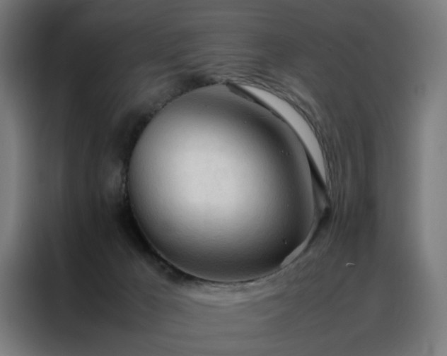 X0000088170029200705221631