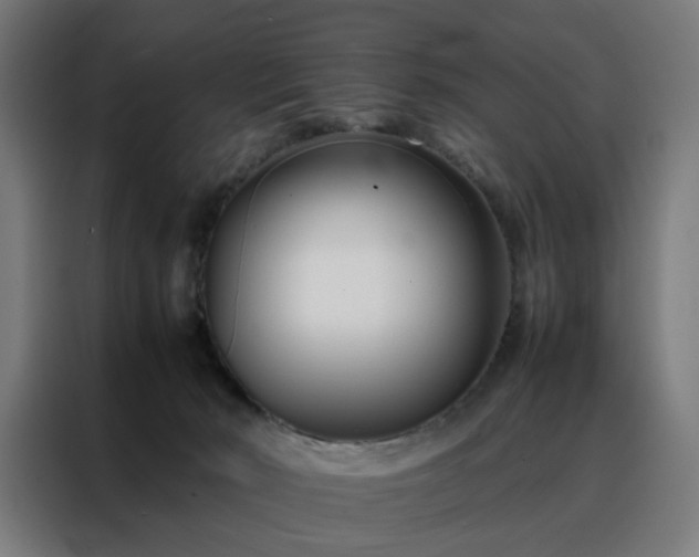 X0000088170030200705221631