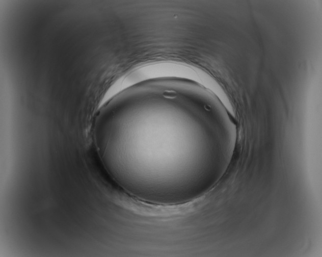 X0000088170031200705221631