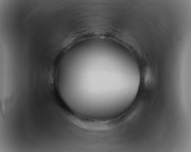 X0000088170032200705221631