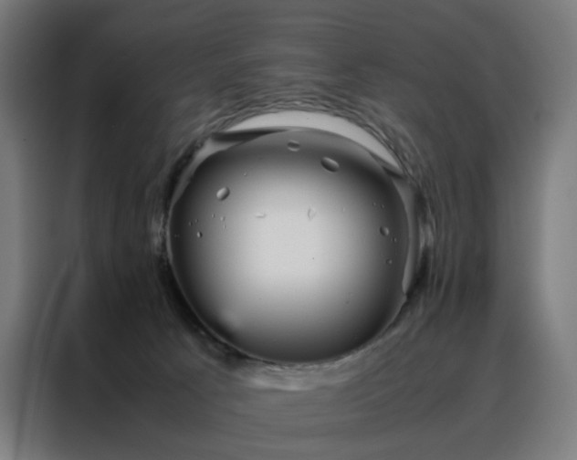 X0000088170033200705221631