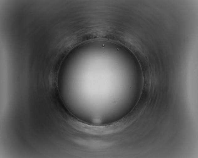 X0000088170034200705221631