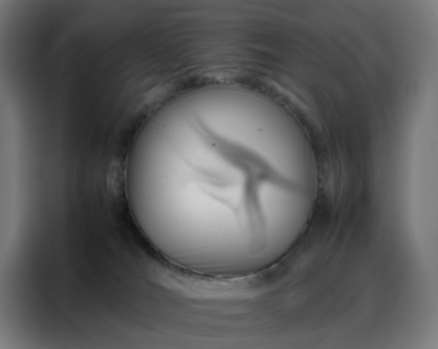 X0000088170036200705221631