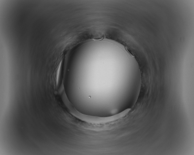 X0000088170037200705221631