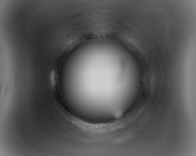 X0000088170038200705221631