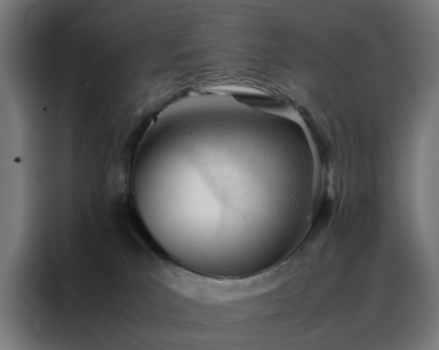 X0000088170039200705221631