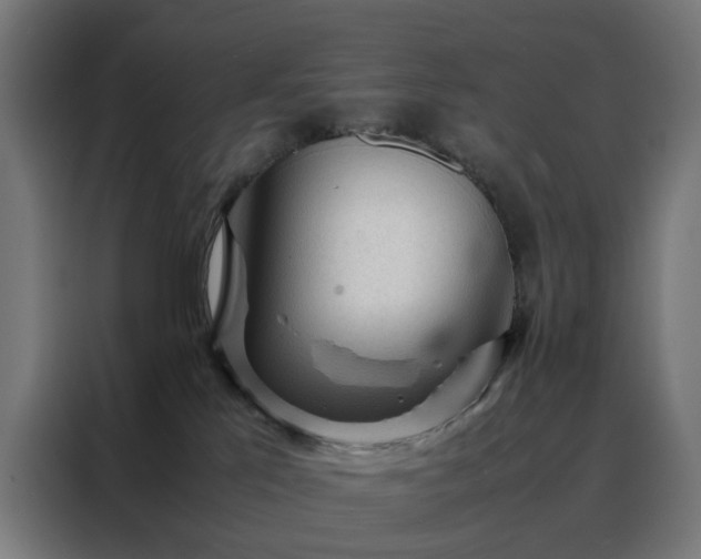 X0000088170041200705221631