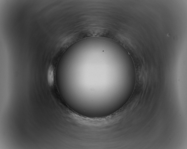 X0000088170042200705221631