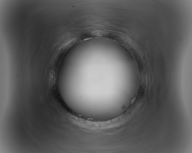 X0000088170043200705221631