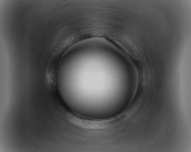 X0000088170044200705221631