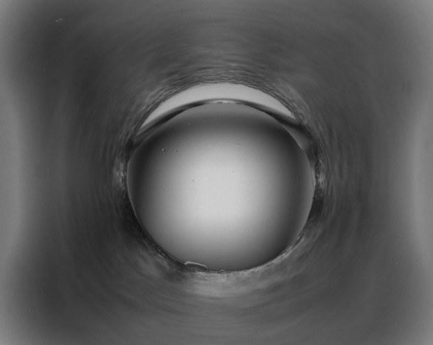 X0000088170045200705221631