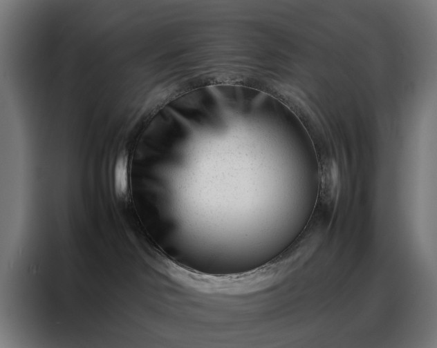 X0000088170046200705221631