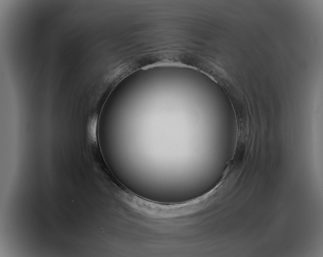 X0000088170047200705221631