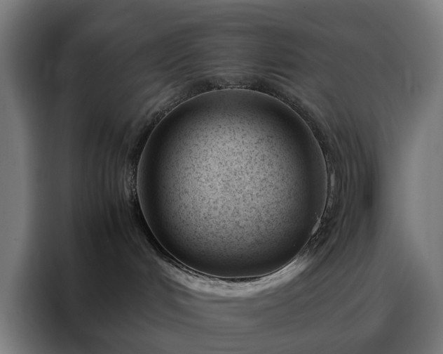 X0000088170048200705221631