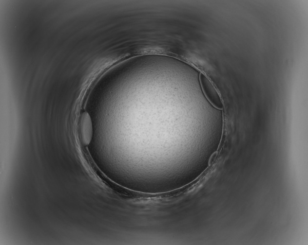 X0000088170049200705221630