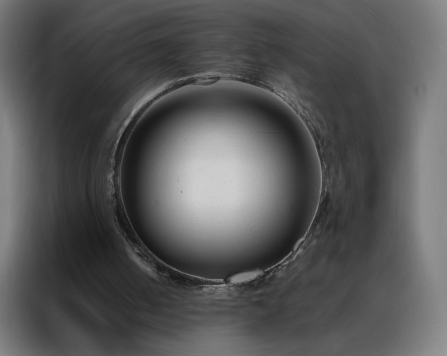 X0000088170050200705221630