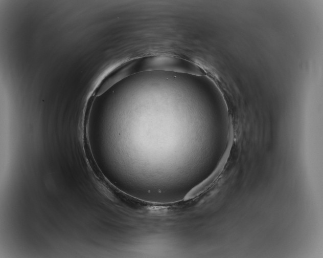 X0000088170052200705221630