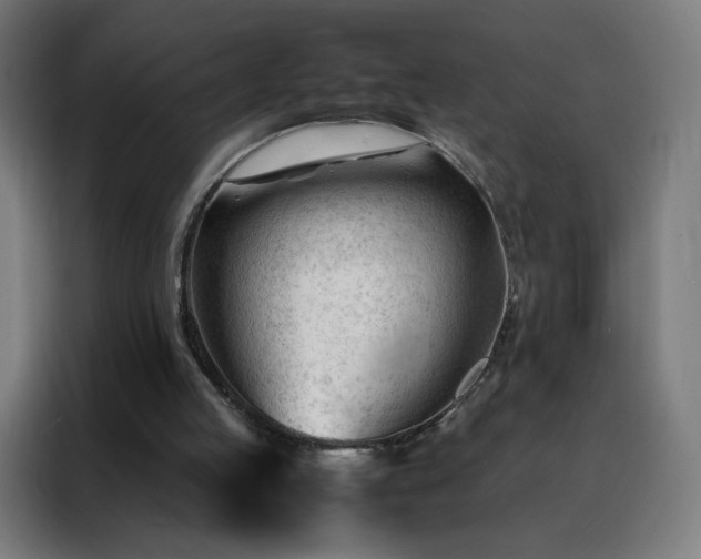 X0000088170053200705221630