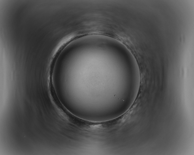 X0000088170054200705221630