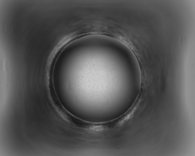 X0000088170055200705221630