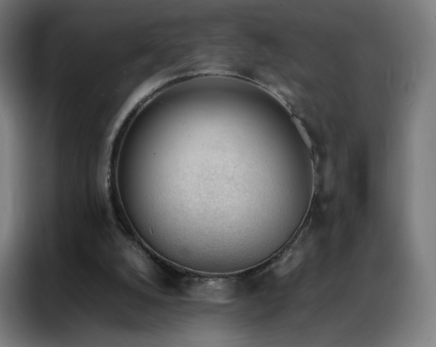 X0000088170056200705221630