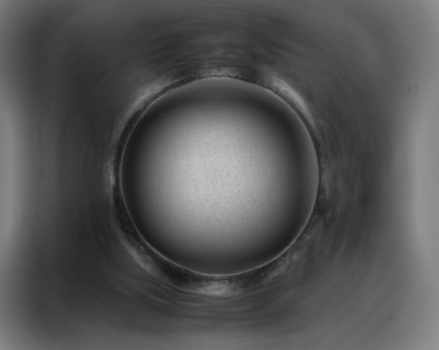 X0000088170059200705221630