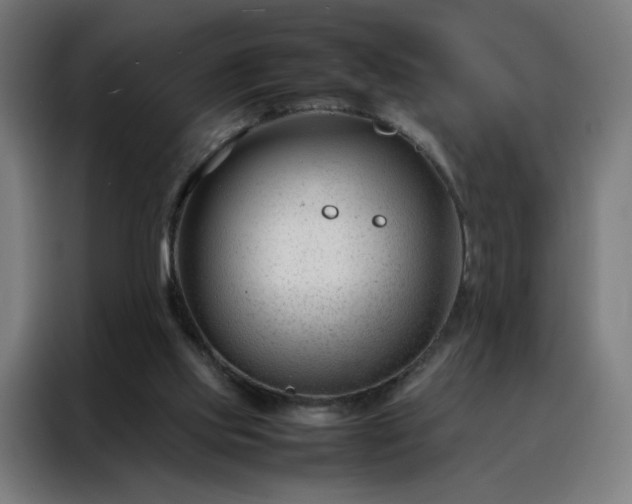 X0000088170061200705221630