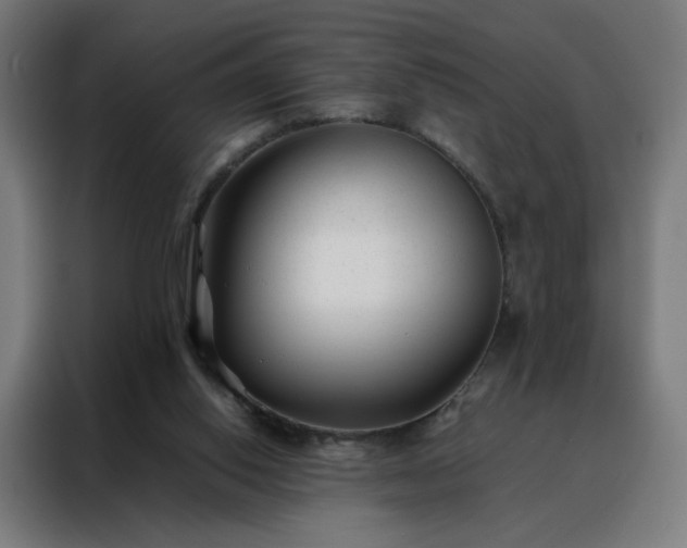 X0000088170062200705221630