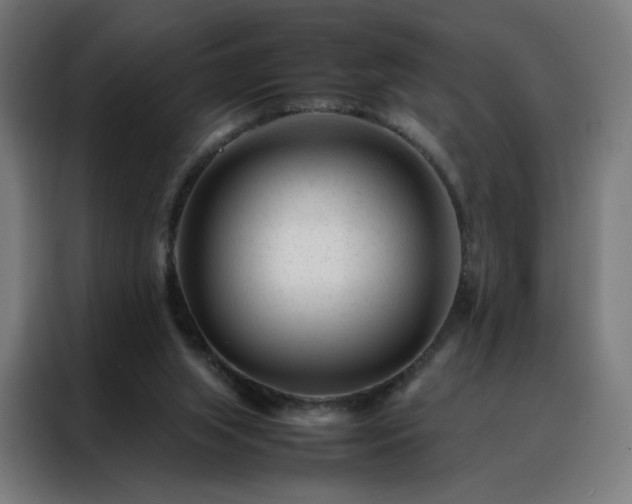 X0000088170063200705221630