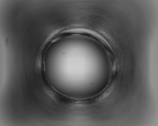 X0000088170064200705221630