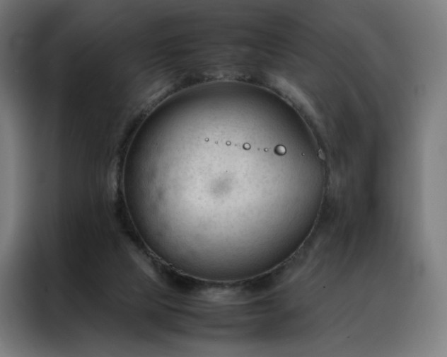 X0000088170065200705221630